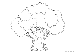 oak-tree-bitmap-coloring